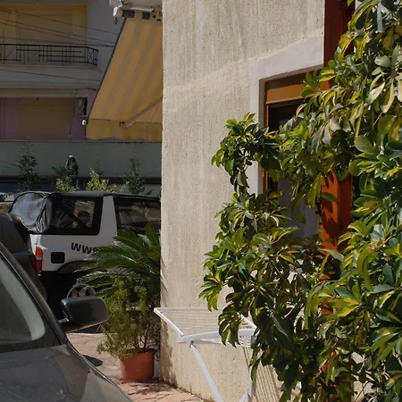 Olive Tree 4*