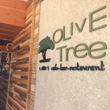 ゲストハウス Olive Tree Sarandë