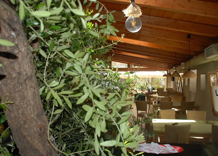 Gasthof Olive Tree Sarandë