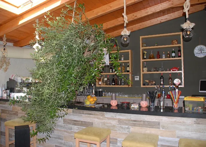 Olive Tree Maison d'hôtes 4*