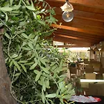 ゲストハウス Olive Tree Sarandë