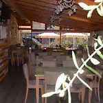 Olive Tree Sarandë