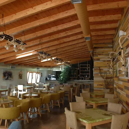 Olive Tree Гостевой дом Саранда