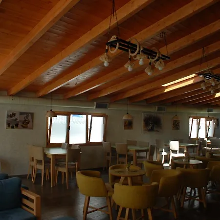 Olive Tree 4*