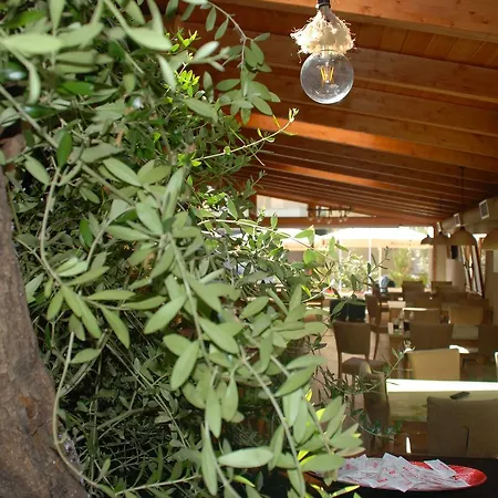 Гостевой дом Olive Tree Саранда