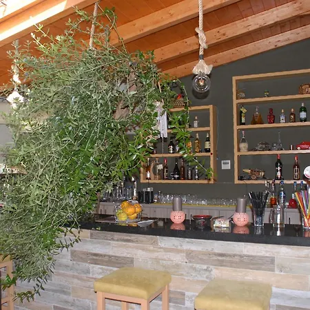 Olive Tree Guest house 4*