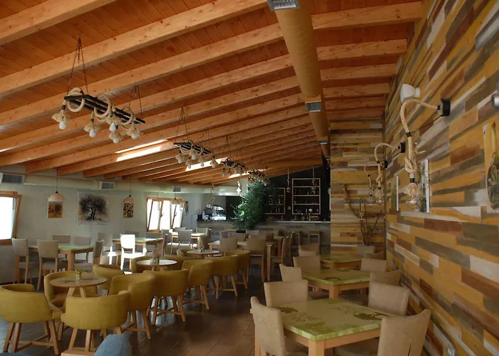 Olive Tree بيت ضيافة ساراندا