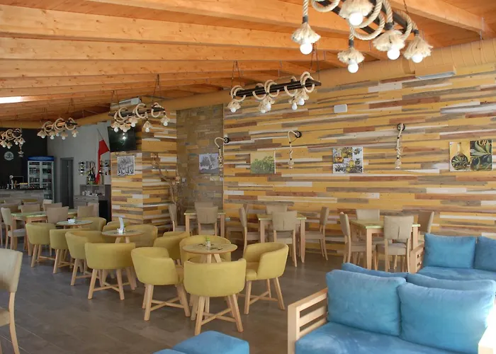 Olive Tree 招待所